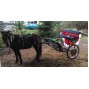 EZ Entry Horse Cart-Pony Size 55"/60" Straight Shafts w/24" Heavy Duty bike wheels